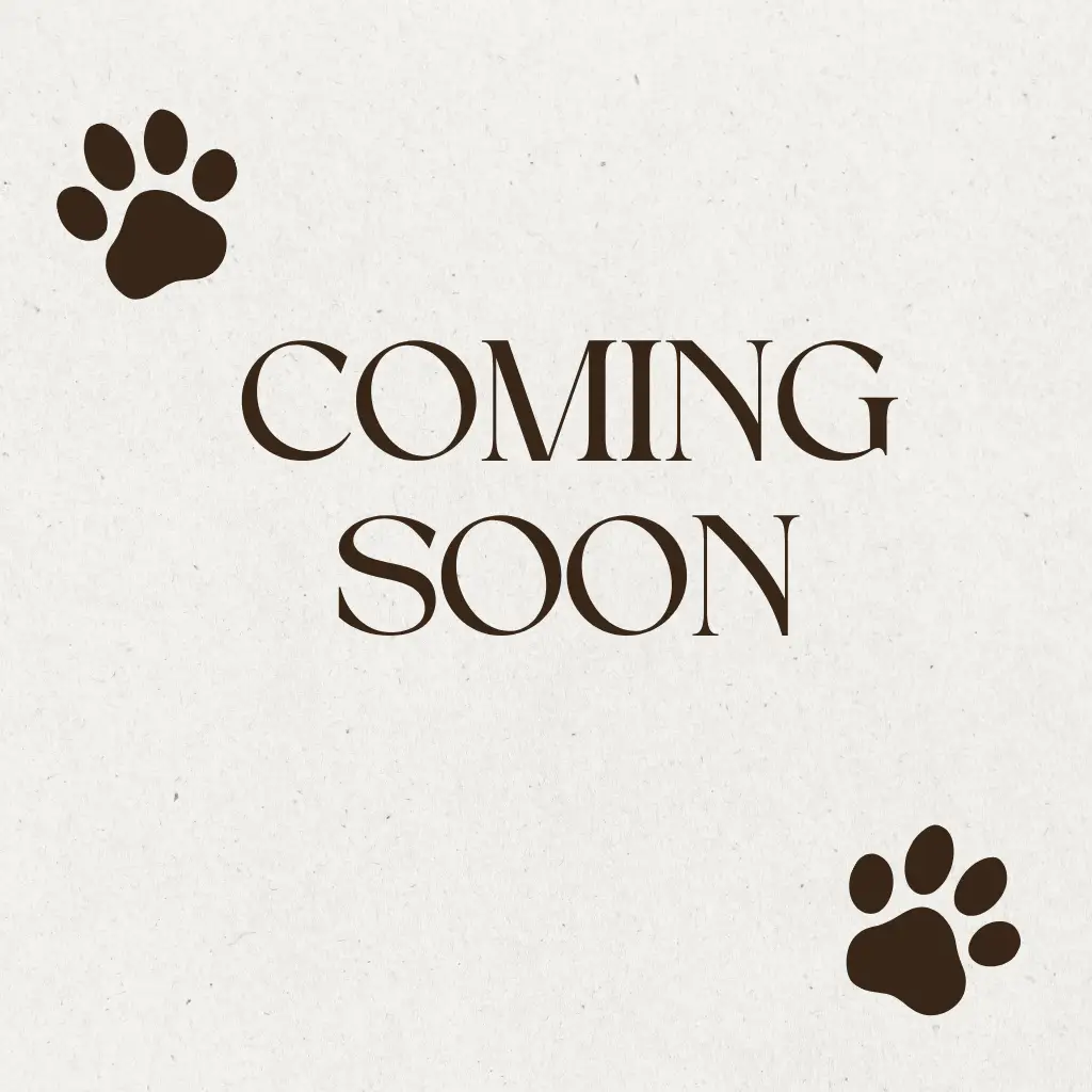 Coming Soon Image